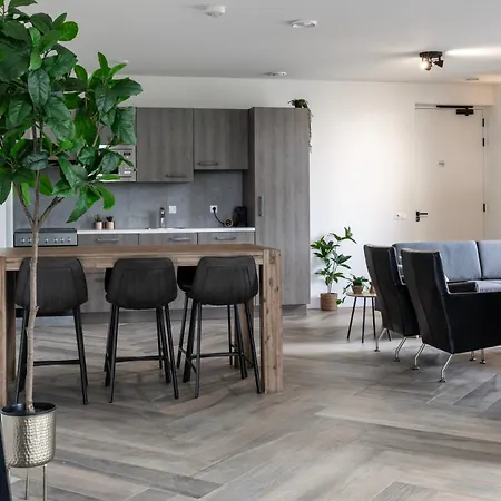 Xl Newly Built Nature Villa, Wifi Appartement Ledeacker
